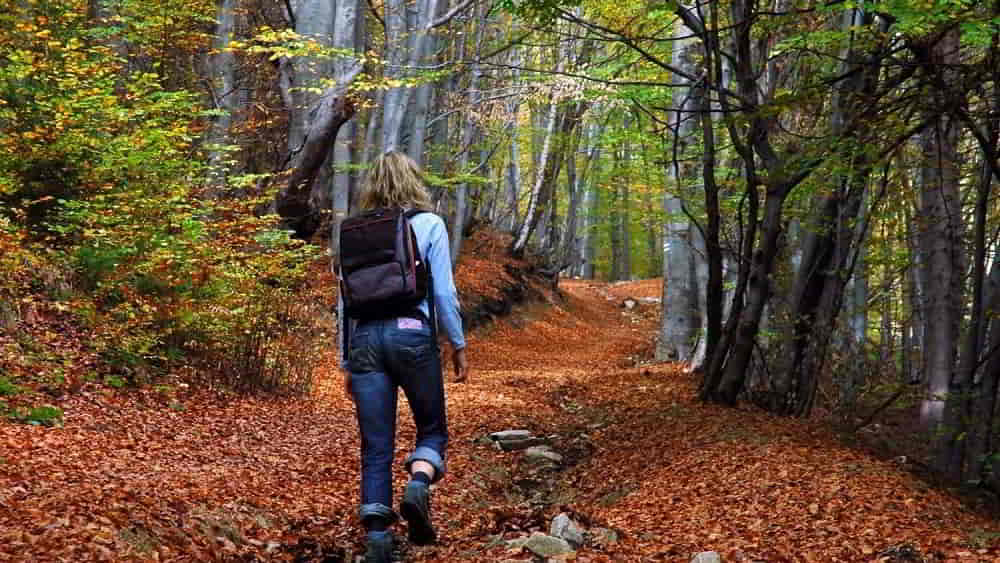 پیادهروی در طبیعت