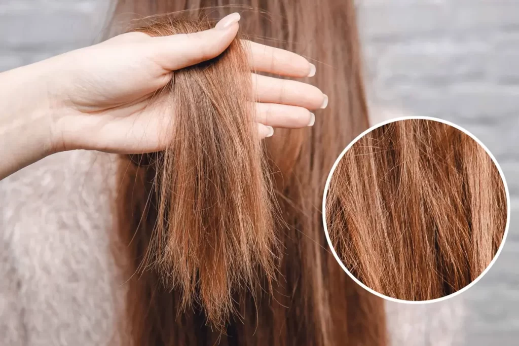 چگونه موهای آسیبدیده را در خانه ترمیم کنیم؟