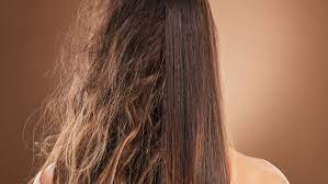 مراقبت از مو در پاییز ۲۰۲۵: ساده و کاربردی برای موهای سالم