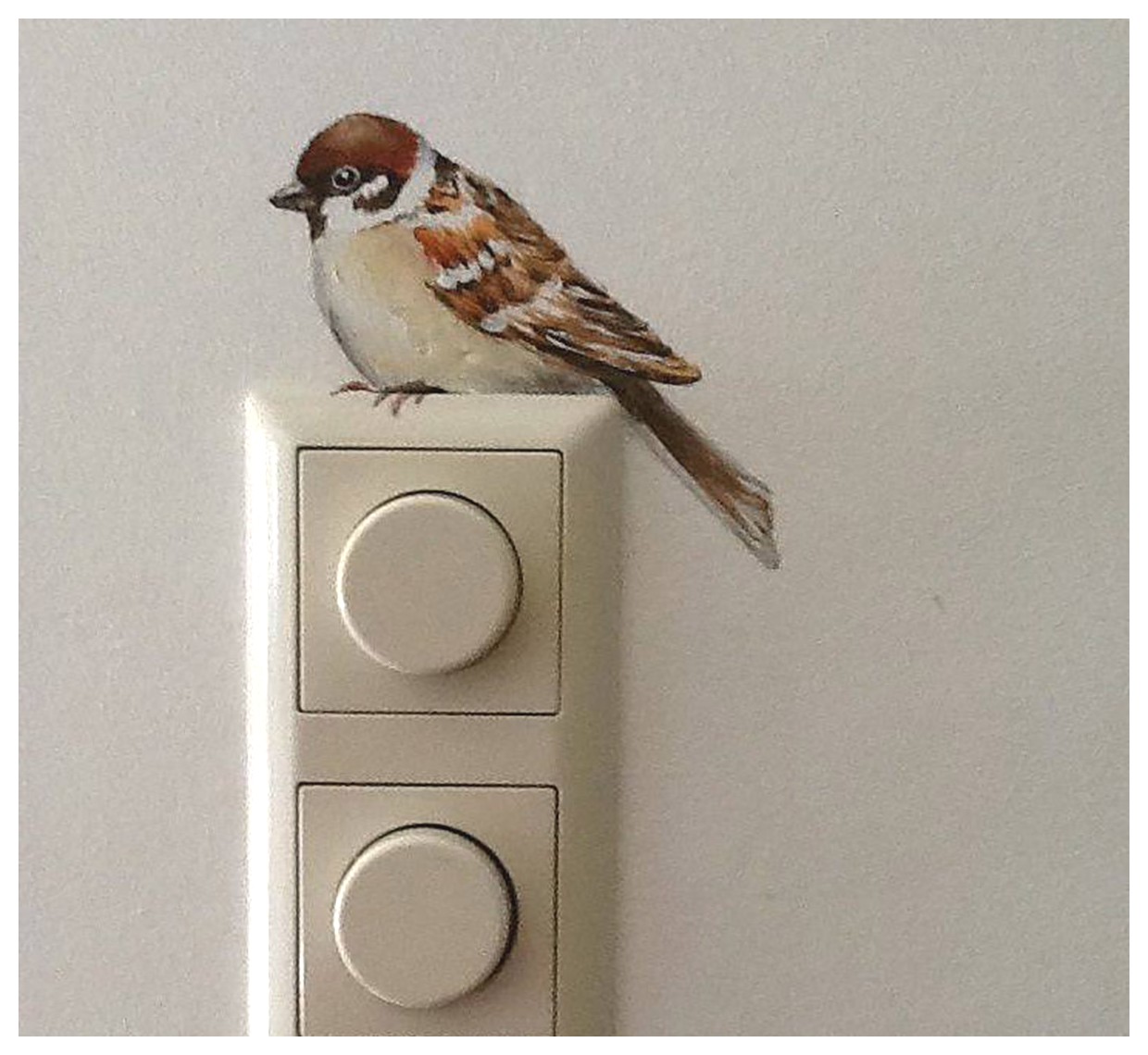 ایده‌های خلاقانه برای نقاشی دیوارها: زیبایی و تنوع در دکوراسیون داخلی