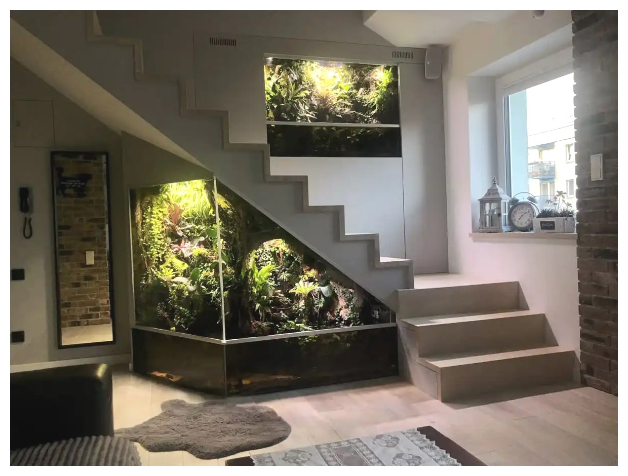 مدل‌های گیاهان آپارتمانی: زیبایی و طراوت در خانه شما