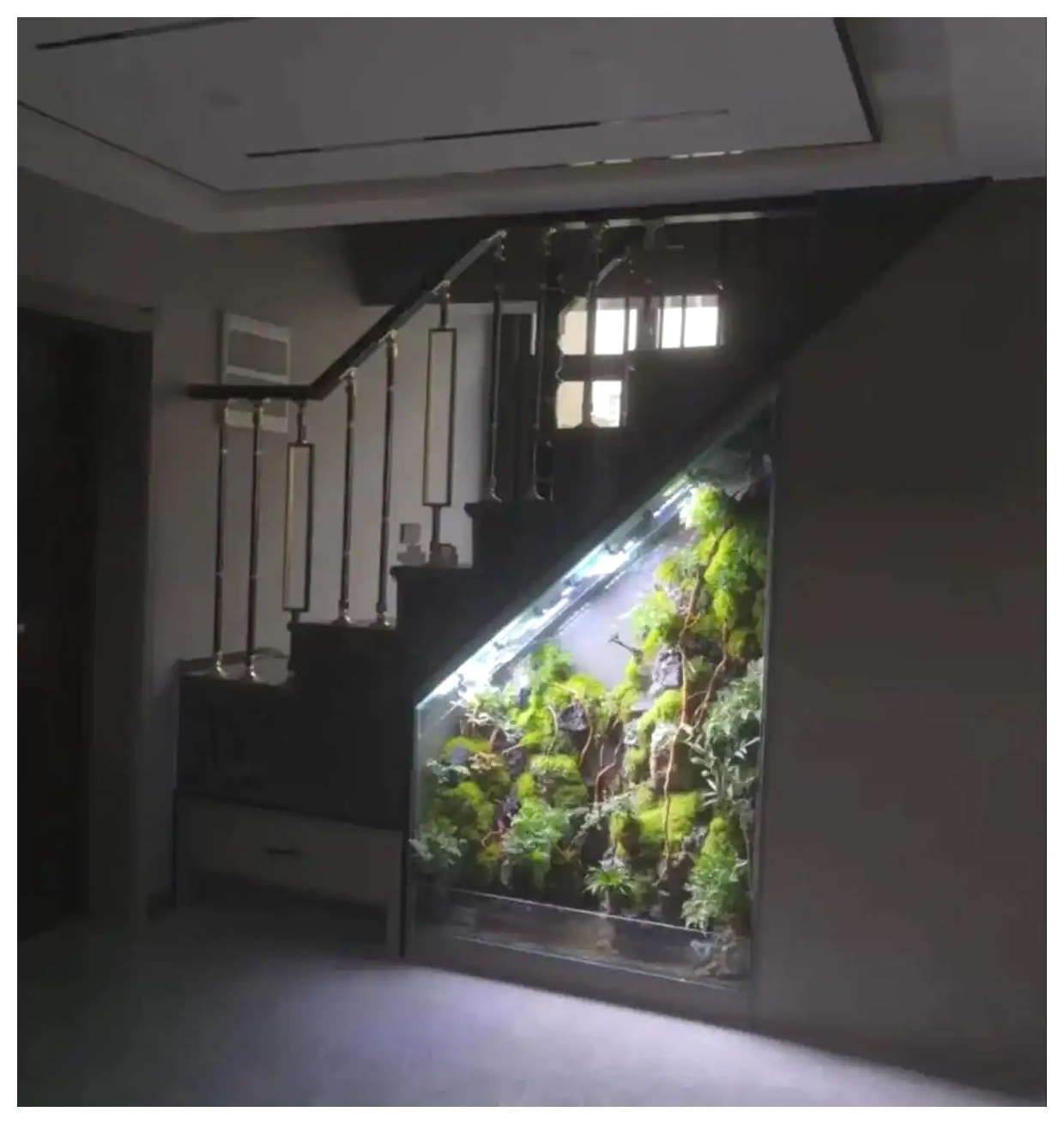 مدل‌های گیاهان آپارتمانی: زیبایی و طراوت در خانه شما