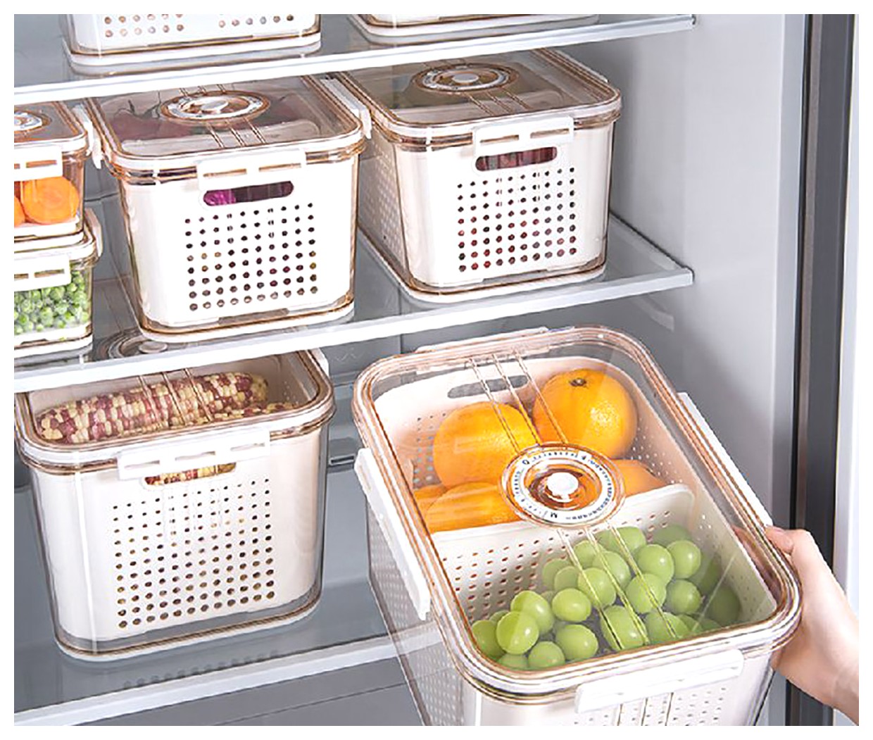 همه چیز درباره کانتینر یخچالی: ویژگیها و کاربردها