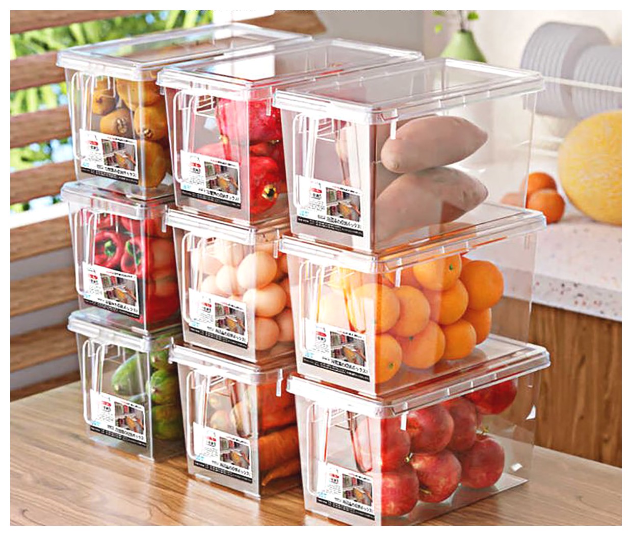 همه چیز درباره کانتینر یخچالی: ویژگیها و کاربردها