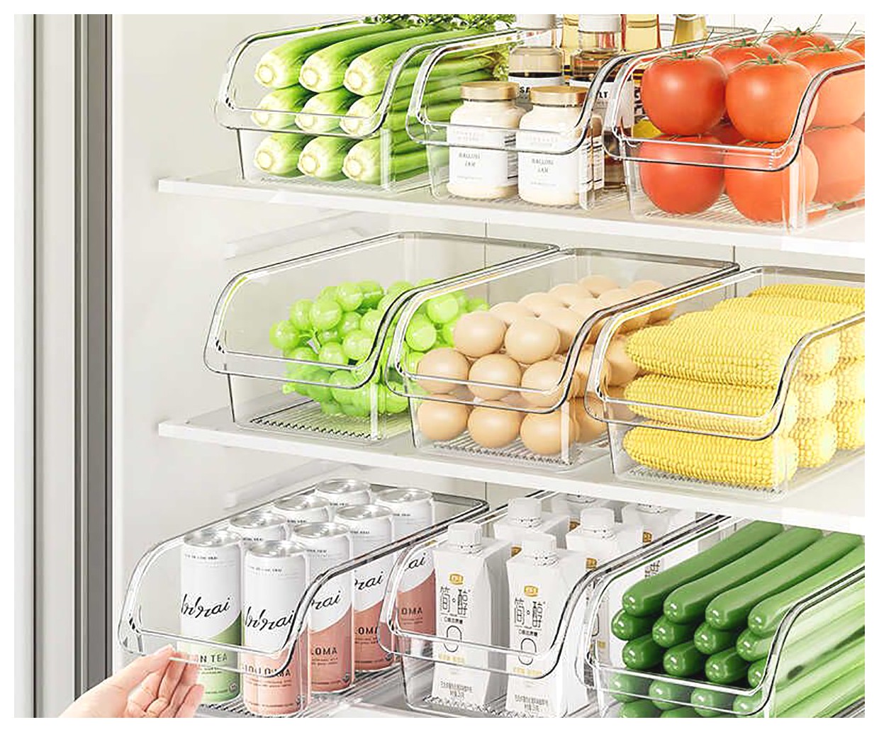 همه چیز درباره کانتینر یخچالی: ویژگیها و کاربردها