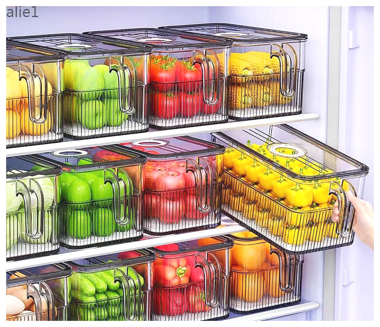 همه چیز درباره کانتینر یخچالی: ویژگیها و کاربردها