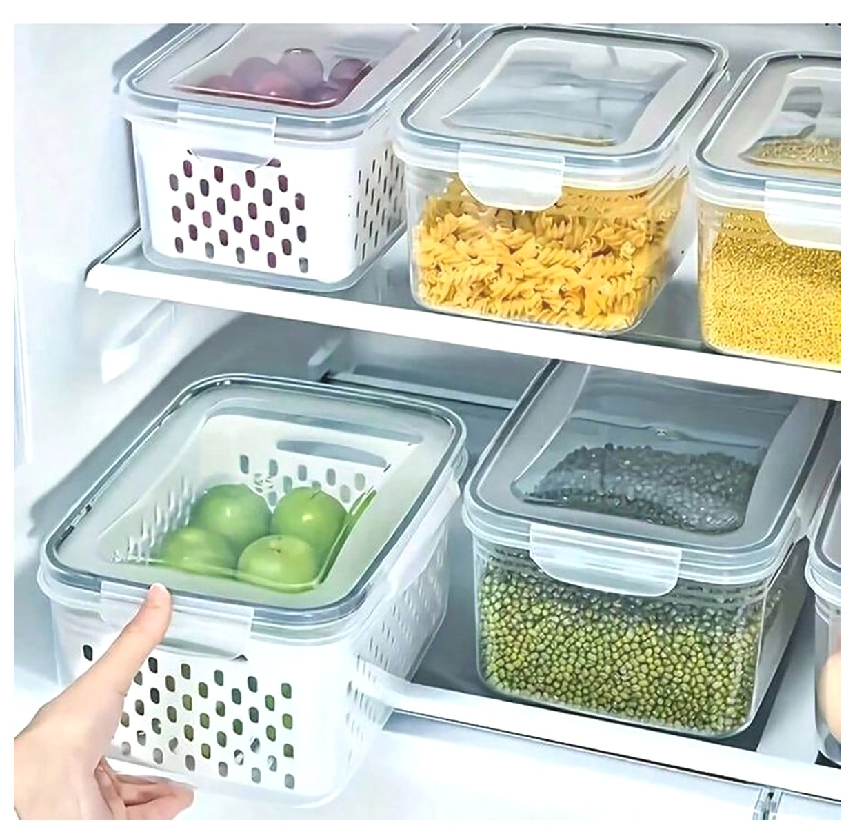 همه چیز درباره کانتینر یخچالی: ویژگیها و کاربردها