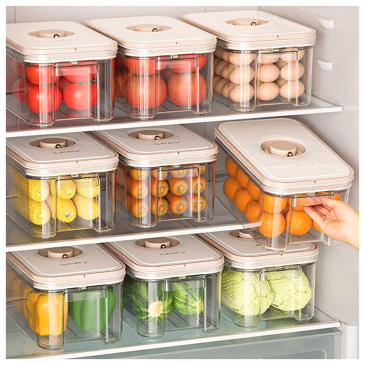 همه چیز درباره کانتینر یخچالی: ویژگیها و کاربردها