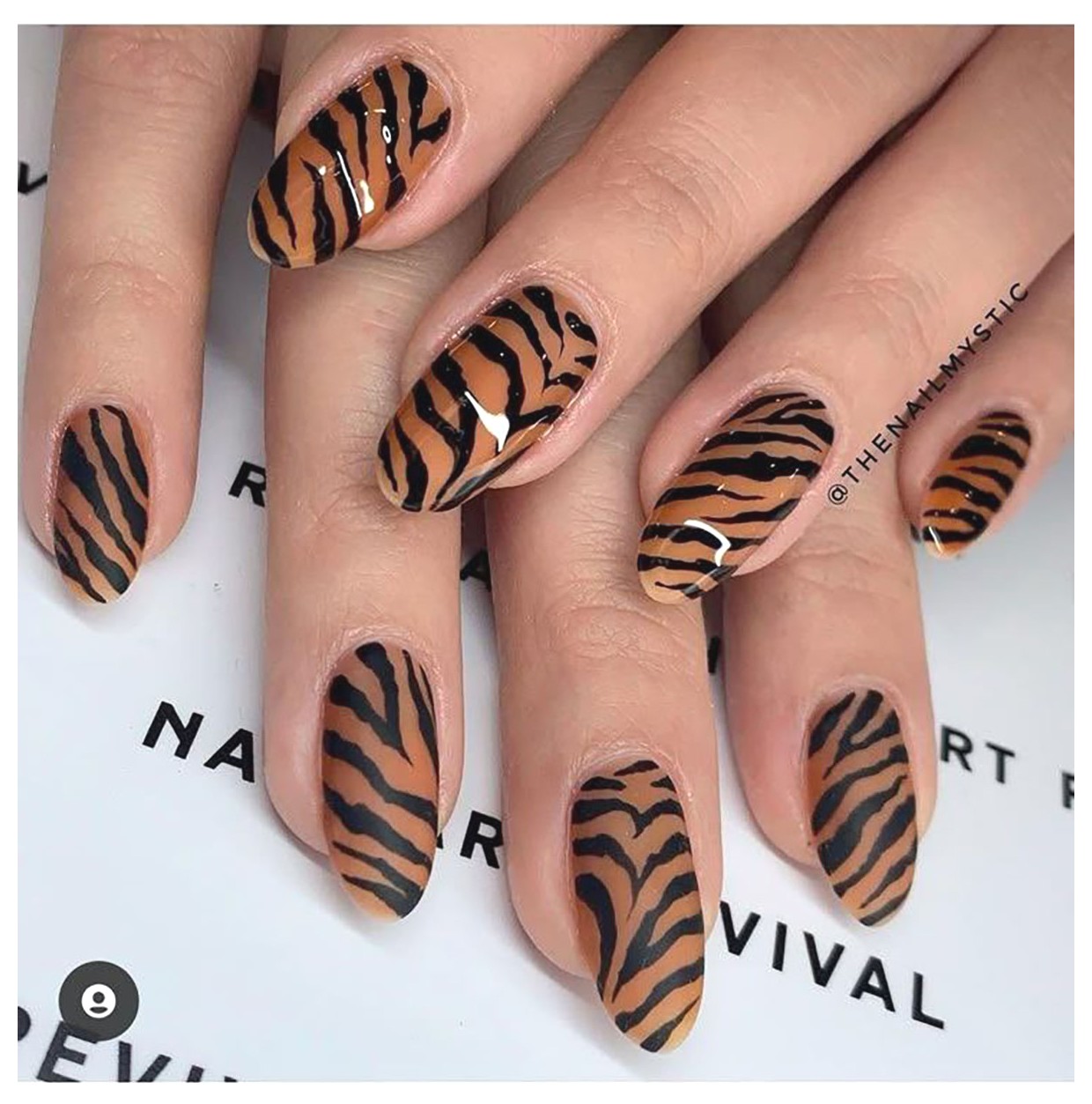 طراحی ناخن پلنگی: جذابیت و شگفتی در دنیای زیبایی