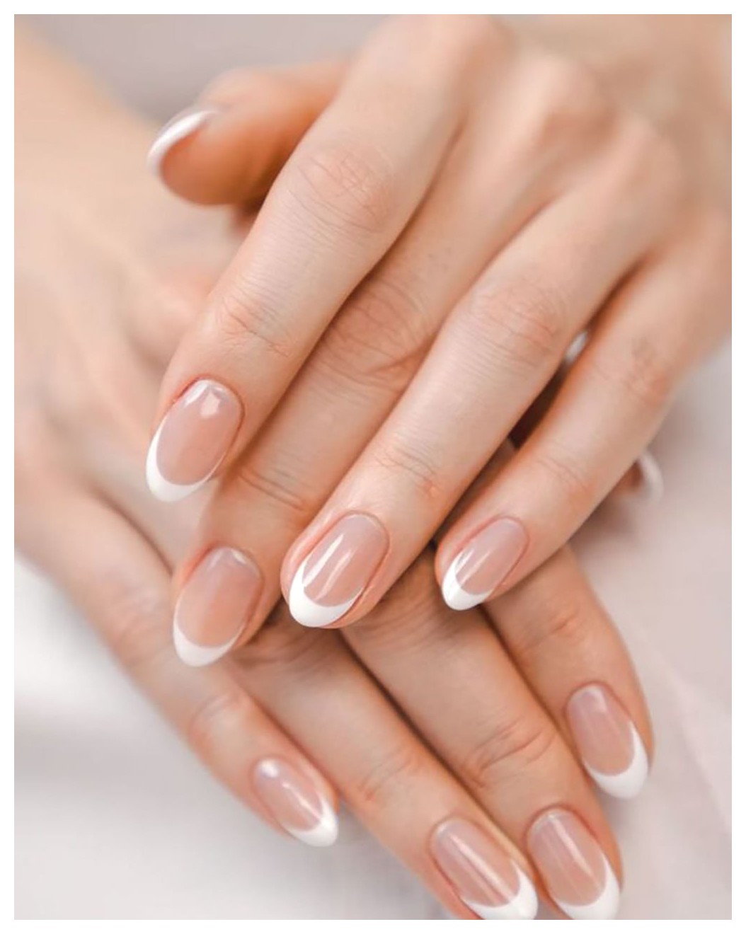 راهنمای جامع ماناکور کرهای: زیبایی و کاربردهای آن