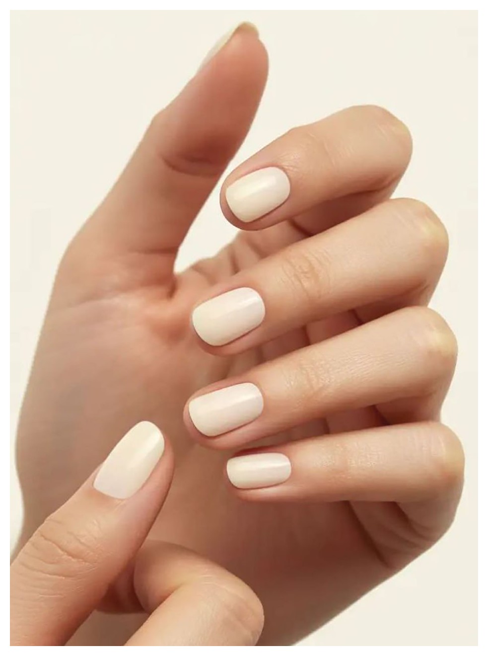 راهنمای جامع ماناکور کرهای: زیبایی و کاربردهای آن