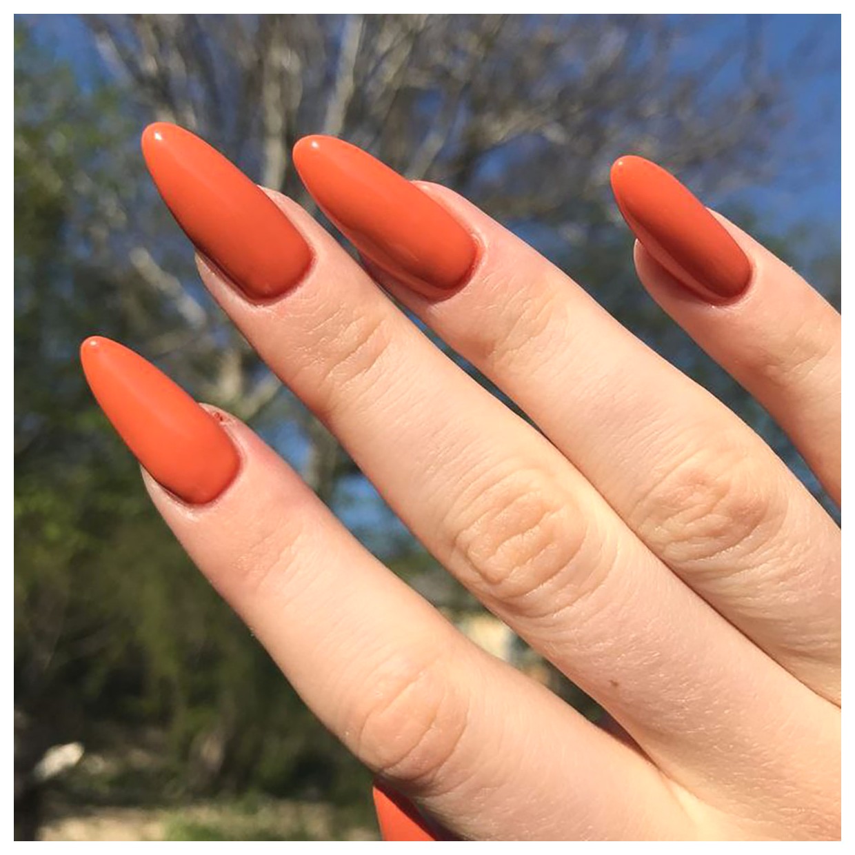 چگونه ناخن‌های بلند و زیبا داشته باشیم؟