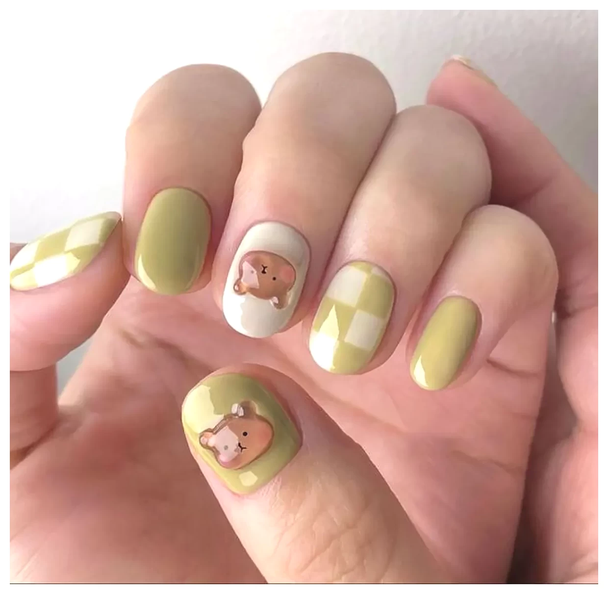 طرح لاک: دنیای رنگها و زیباییها