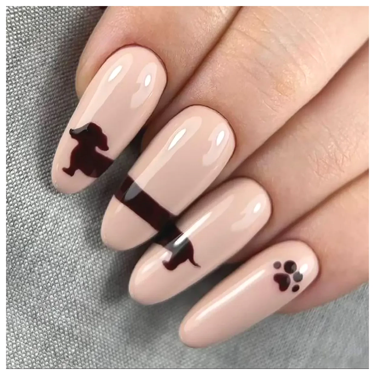 طرح لاک: دنیای رنگها و زیباییها